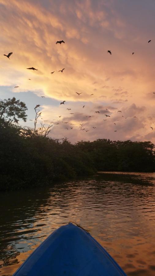 Three Little Birds Hotel แทนกาลเล ภายนอก รูปภาพ
