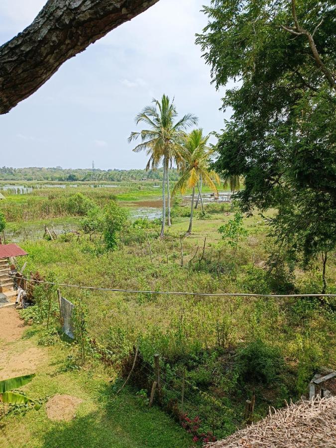 Three Little Birds Hotel แทนกาลเล ภายนอก รูปภาพ