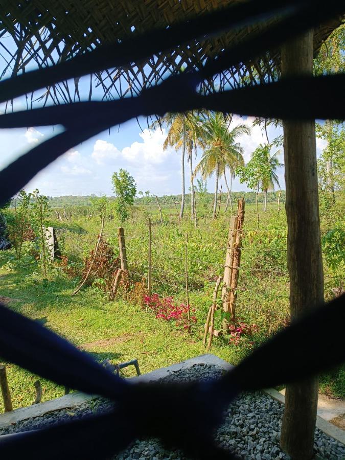 Three Little Birds Hotel แทนกาลเล ภายนอก รูปภาพ
