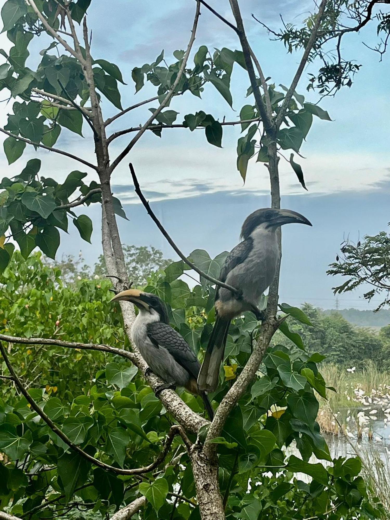 Three Little Birds Hotel แทนกาลเล ภายนอก รูปภาพ