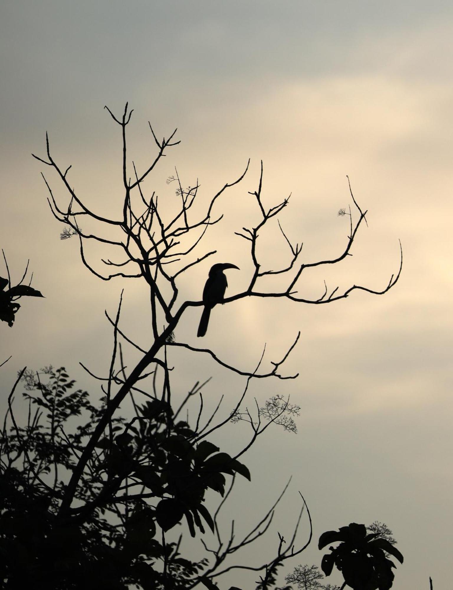 Three Little Birds Hotel แทนกาลเล ภายนอก รูปภาพ