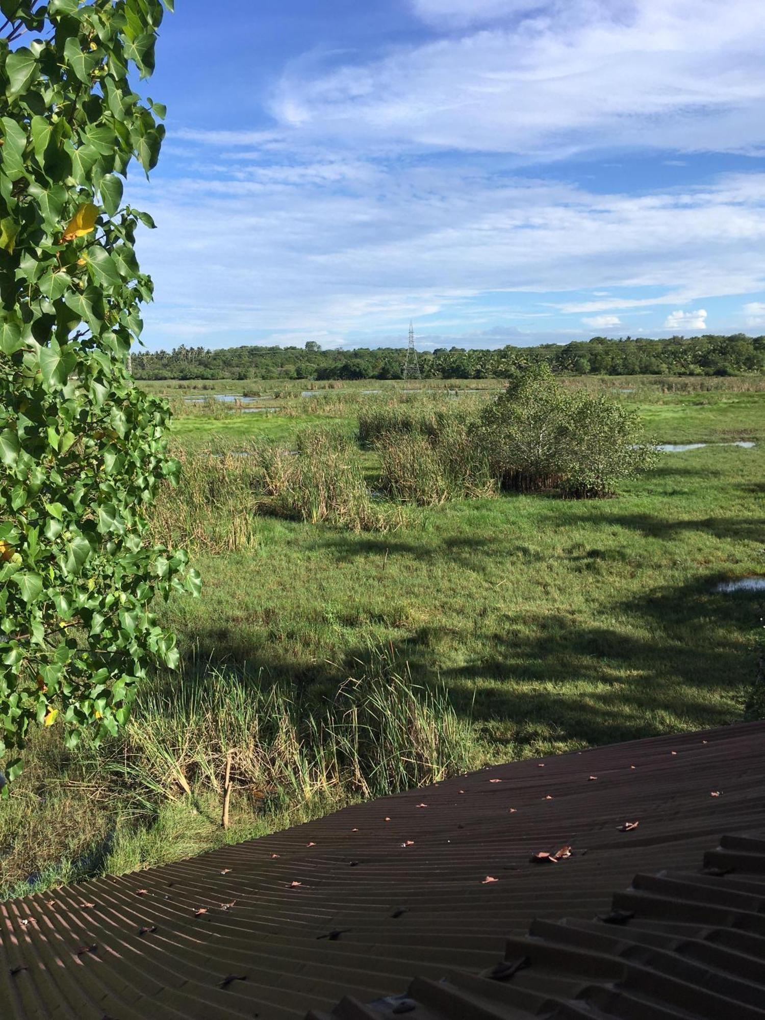 Three Little Birds Hotel แทนกาลเล ภายนอก รูปภาพ