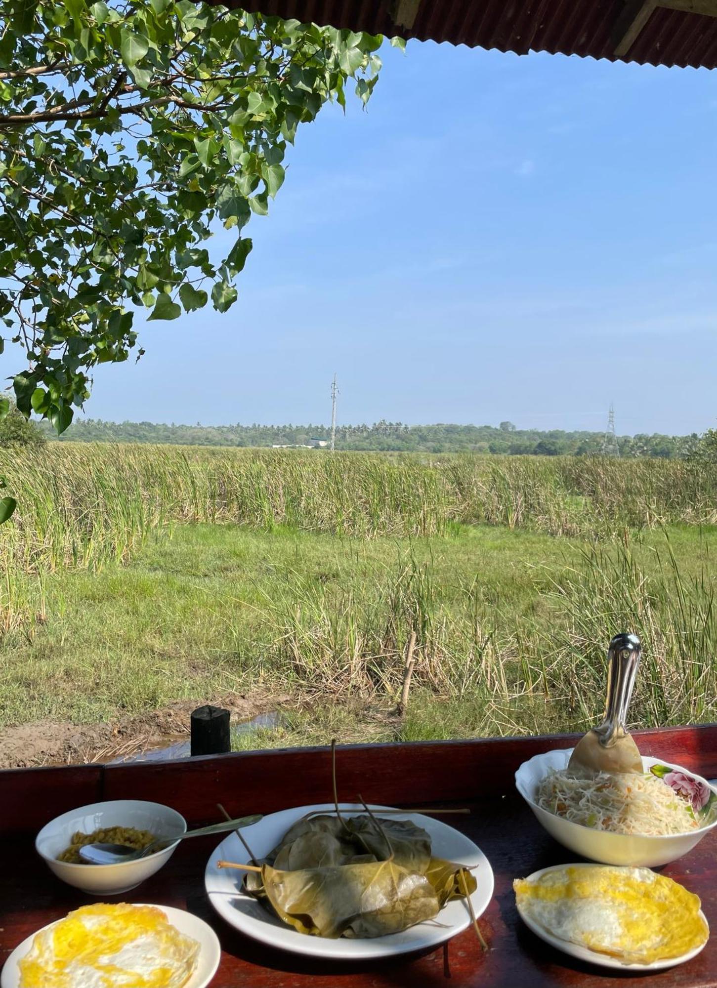 Three Little Birds Hotel แทนกาลเล ภายนอก รูปภาพ