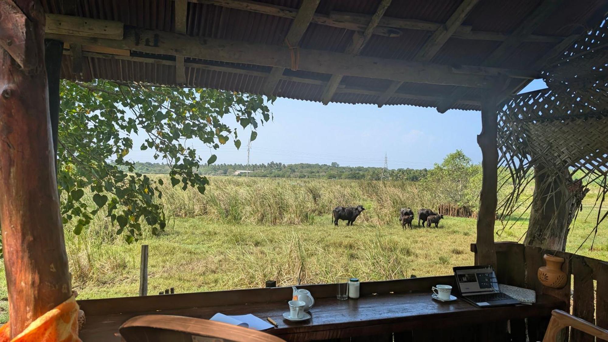Three Little Birds Hotel แทนกาลเล ภายนอก รูปภาพ