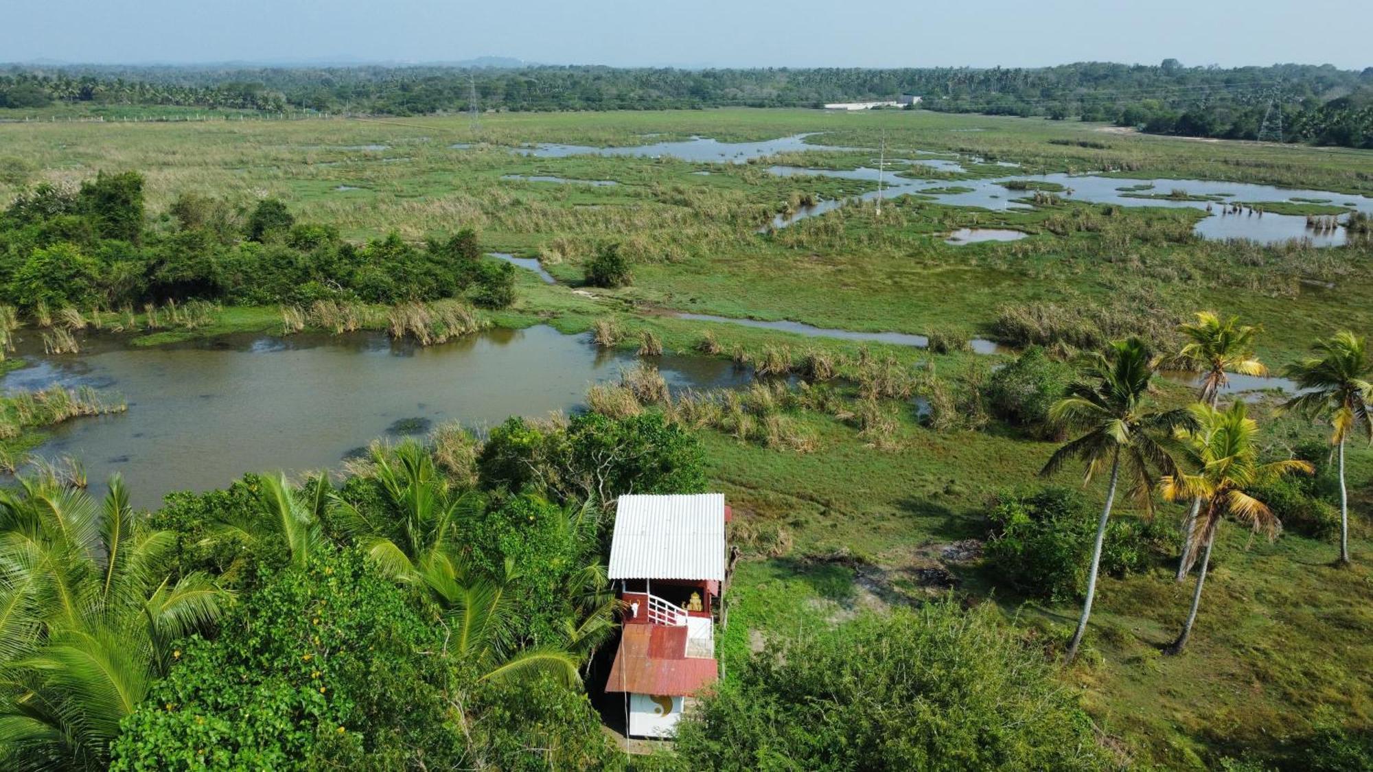 Three Little Birds Hotel แทนกาลเล ภายนอก รูปภาพ