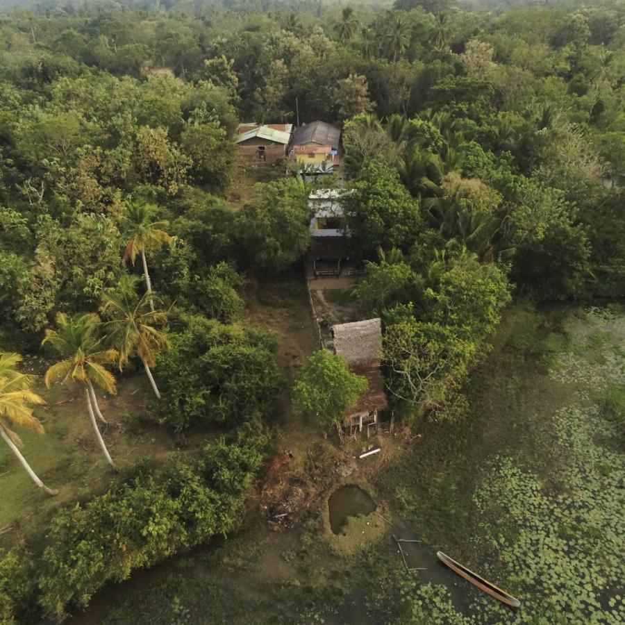 Three Little Birds Hotel แทนกาลเล ภายนอก รูปภาพ