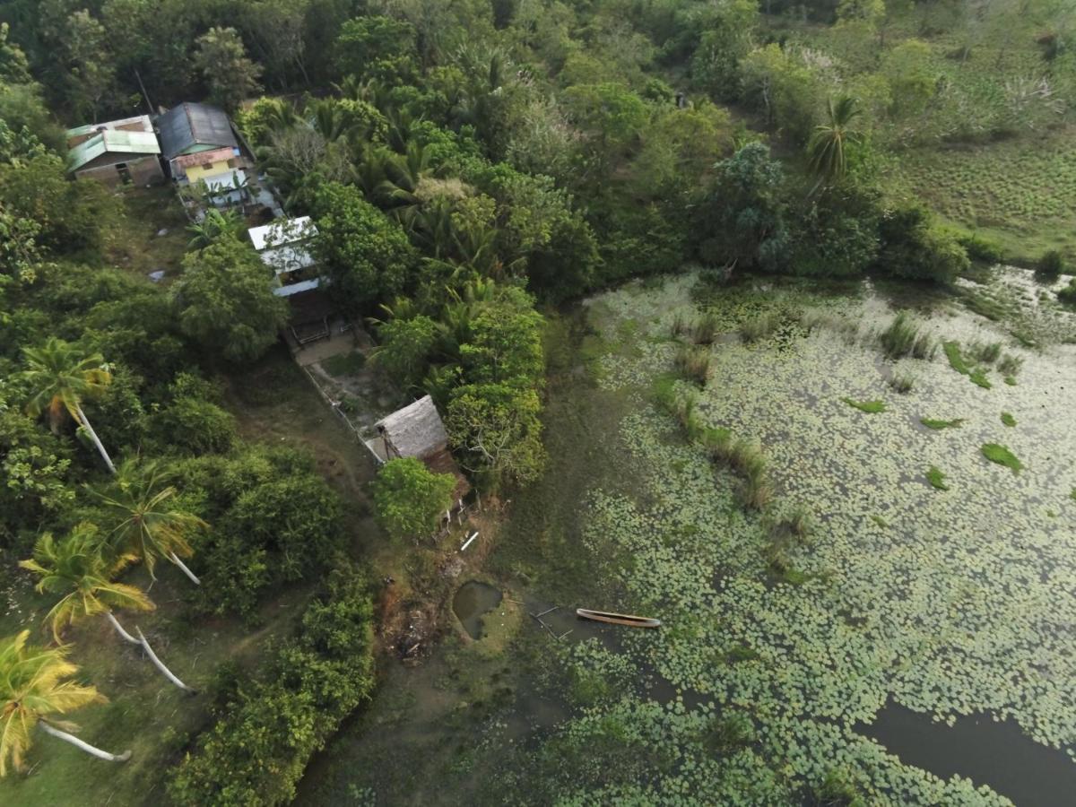 Three Little Birds Hotel แทนกาลเล ภายนอก รูปภาพ